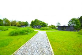 Meadow View