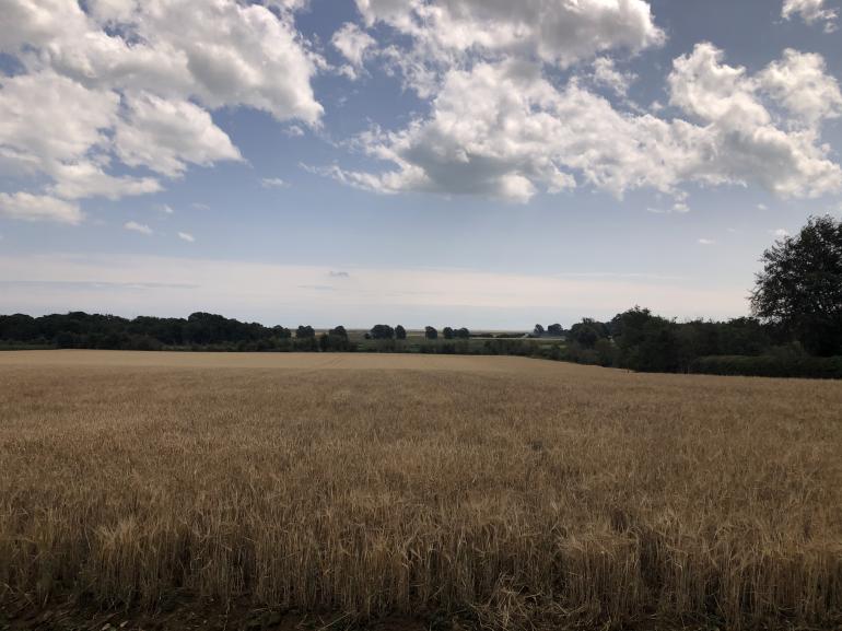 Lodge Farm Cottage | Lodge Farm Cottage in Sudbourne