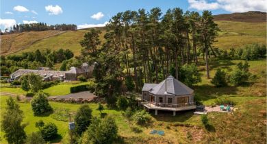 Scots Pine Treehouse (OC-D65283) Scots Pine Treehouse (OC-D65283)