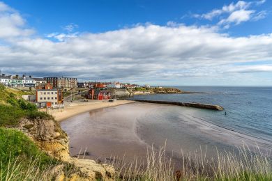 Blue Crab House - Tynemouth (OC-B29939)
