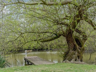 The Secret Hideaway (OC-BT096) The Secret Hideaway (OC-BT096)