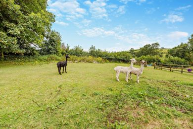 Willow Cottage - Birchill Farm (OC-W29909)