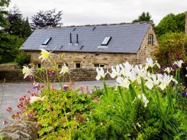 Upper Barn