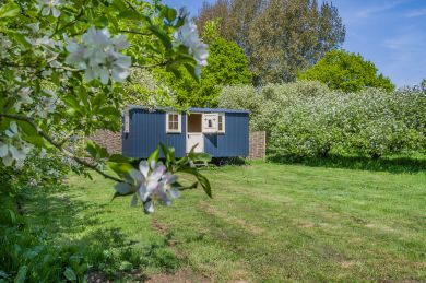 The Orchard Hut (OC-O31908)