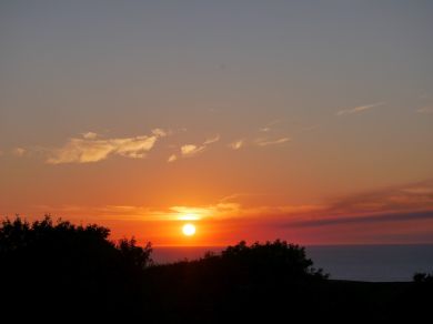 Ocean - The Views (OC-88497)