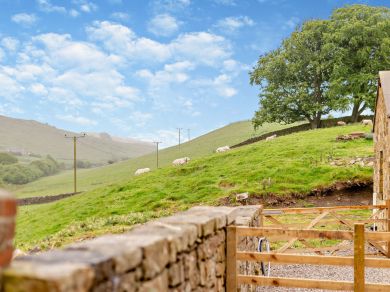 Riggs Byre (OC-94743)