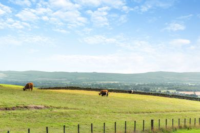 Berryland Byre (OC-B29836)