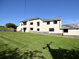 Instow Farm - Peach Blossom