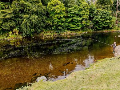 Kinnairdy Castle (OC-89020) Kinnairdy Castle (OC-89020)