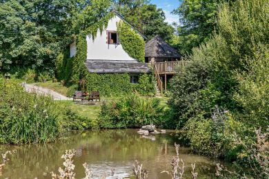 Old Mill - Bratton Clovelly (OC-O29681)