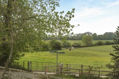 Wren Cottage - Godshill (OC-77224) Wren Cottage - Godshill (OC-77224)