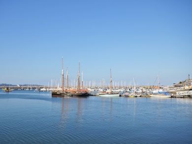 Mermaid View - Brixham (OC-91427) Mermaid View - Brixham (OC-91427)