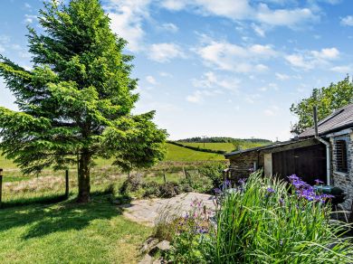 The Barn At Nant Llwyd (OC-55903) The Barn At Nant Llwyd (OC-55903)