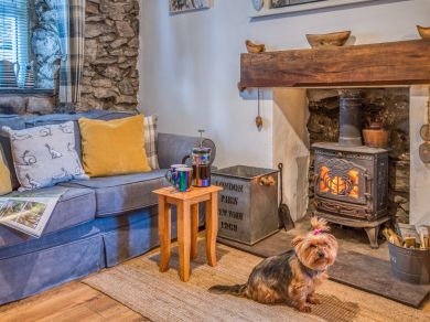The Llyn Retreat (OC-77891) The Llyn Retreat (OC-77891)