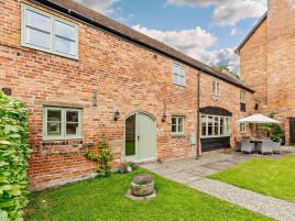 Bolting Rabbit - Rushbury