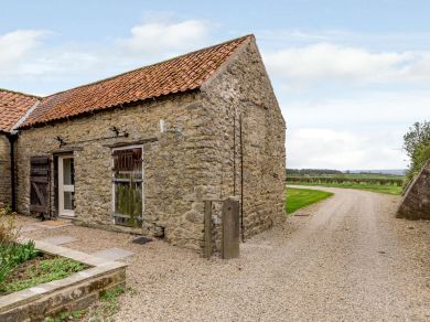 A Nest - Kirkbymoorside (OC-82843) A Nest - Kirkbymoorside (OC-82843)