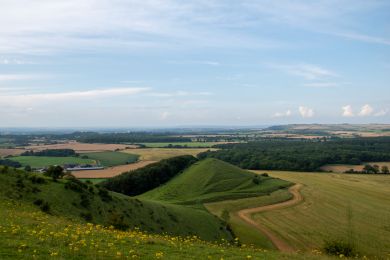 Ash View 2 (OC-A29458)