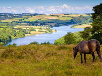 Little Meadow Too – Dulverton (OC-73951) Little Meadow Too – Dulverton (OC-73951)