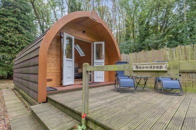 The Owl Pod (OC-T33437)