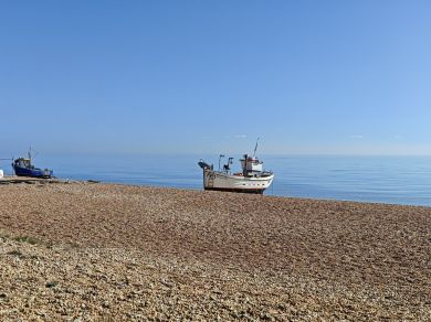 Shore (OC-S32090)
