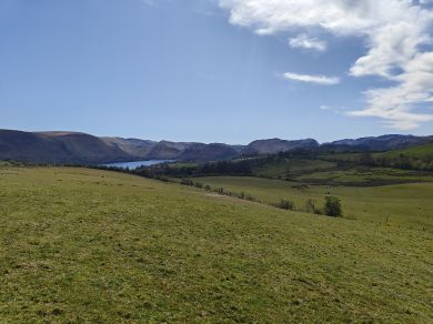 Little Mell (OC-H36897)
