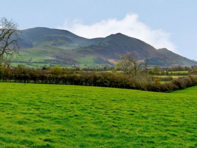 Ranworth Lodge - Bassenthwaite (OC-82475) Ranworth Lodge - Bassenthwaite (OC-82475)
