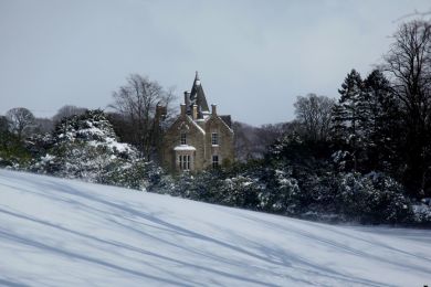 The Old Wing at Drumhead (OC-T30303)