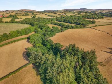 Pencraig Fawr (OC-P44897)