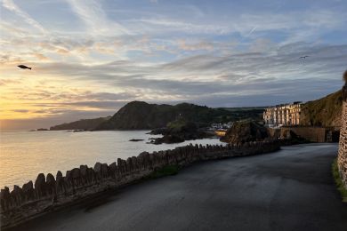 Dylan's View (OC-D9720)