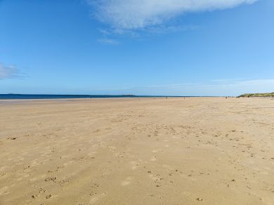Rosebay (OC-R30372)