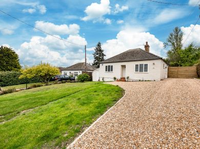 Tree View - Peasmarsh (OC-87680)
