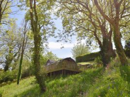 Padstow - Treetops