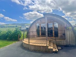 Birch Tree Lodge - Rhayader