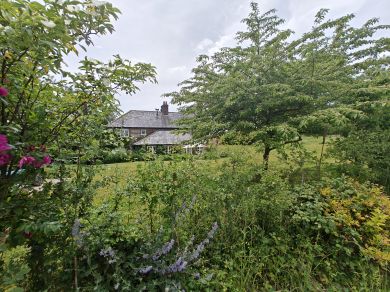 Chesil Cottage (OC-C43270)