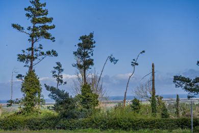Budle View - Belford (OC-B29247)