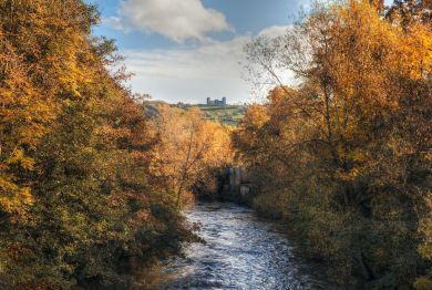 Ryecroft Cottage - Two Dales (OC-27596)