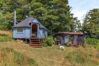 Pigscombe Piglet (OC-P45719) Pigscombe Piglet (OC-P45719)