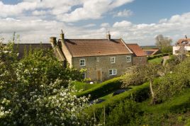 Orchard Cottage at Ivy House