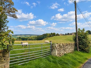 The Old Calf Barn (OC-S46543) The Old Calf Barn (OC-S46543)
