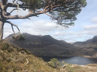 Torridon Sunrise (OC-CA390)