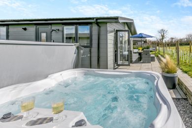 Snowdrop Lodge - Roadford Lake (OC-S31783)