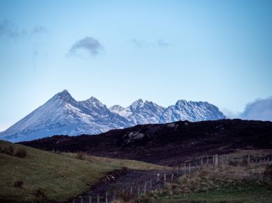 Rum View (OC-CA293)