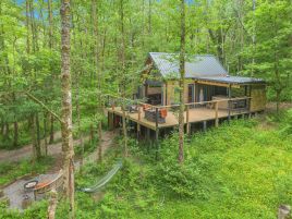 The Tree House