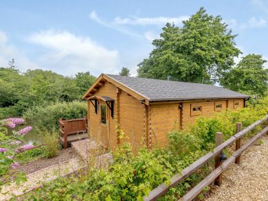 Alverstone Ponds Willow End Lodge (OC-78634)