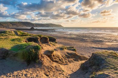 Heather - Bude (OC-H31848)