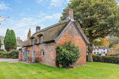 Oak Tree Thatched Cottage (OC-O30242)