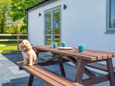 Bwthyn Glanrhyd Cottage (OC-88043) Bwthyn Glanrhyd Cottage (OC-88043)