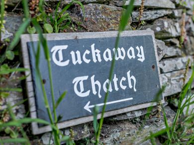 Tuckaway Thatch (OC-72422) Tuckaway Thatch (OC-72422)