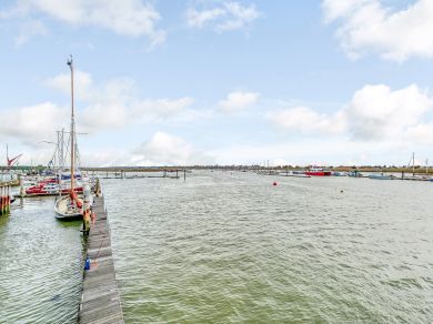 Salty Dog (OC-77638) Salty Dog (OC-77638)