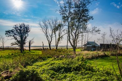 Marsh View (OC-MARSH)